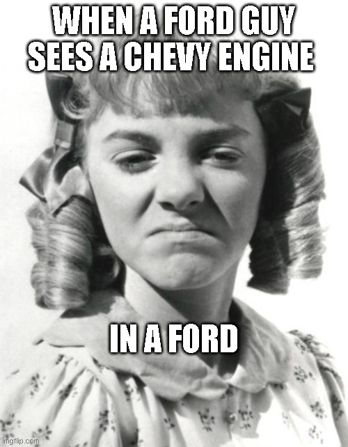 Little house | WHEN A FORD GUY SEES A CHEVY ENGINE; IN A FORD | image tagged in little house | made w/ Imgflip meme maker