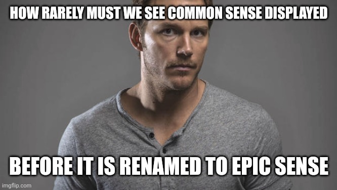 when you have common sense | HOW RARELY MUST WE SEE COMMON SENSE DISPLAYED; BEFORE IT IS RENAMED TO EPIC SENSE | image tagged in when you have common sense | made w/ Imgflip meme maker