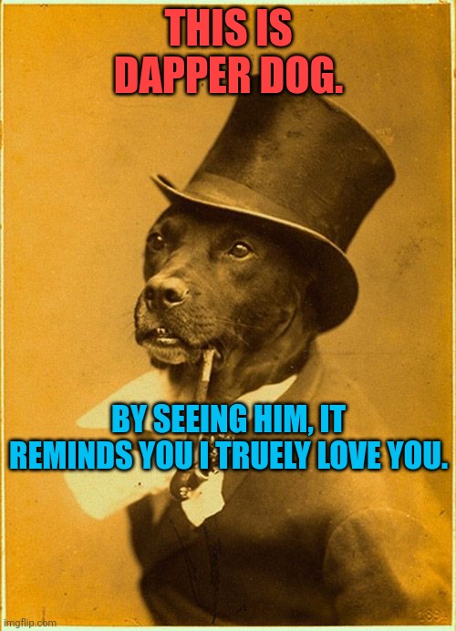 Dapper | THIS IS DAPPER DOG. BY SEEING HIM, IT REMINDS YOU I TRUELY LOVE YOU. | image tagged in dapper | made w/ Imgflip meme maker