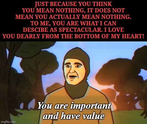 You are important and have value | JUST BECAUSE YOU THINK YOU MEAN NOTHING, IT DOES NOT MEAN YOU ACTUALLY MEAN NOTHING. TO ME, YOU ARE WHAT I CAN DESCIBE AS SPECTACULAR. I LOVE YOU DEARLY FROM THE BOTTOM OF MY HEART! | image tagged in you are important and have value | made w/ Imgflip meme maker