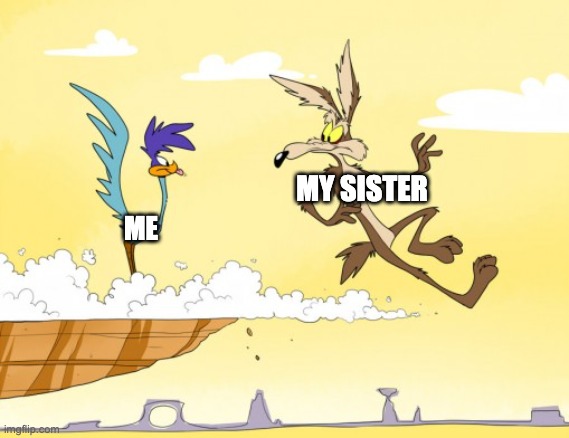 so true | MY SISTER; ME | image tagged in looney tunes | made w/ Imgflip meme maker