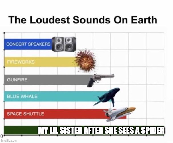 If u have a lil sis,U will relate to this | MY LIL SISTER AFTER SHE SEES A SPIDER | image tagged in the loudest sounds on earth | made w/ Imgflip meme maker
