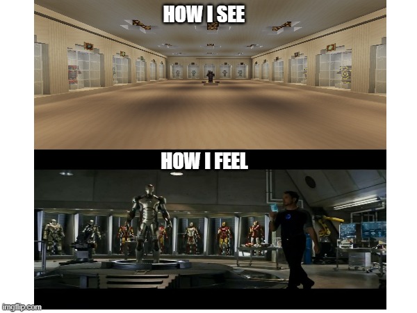 How i see vs How i feel | HOW I SEE; HOW I FEEL | image tagged in minecraft armor trims,iron man,how i see vs how i feel | made w/ Imgflip meme maker