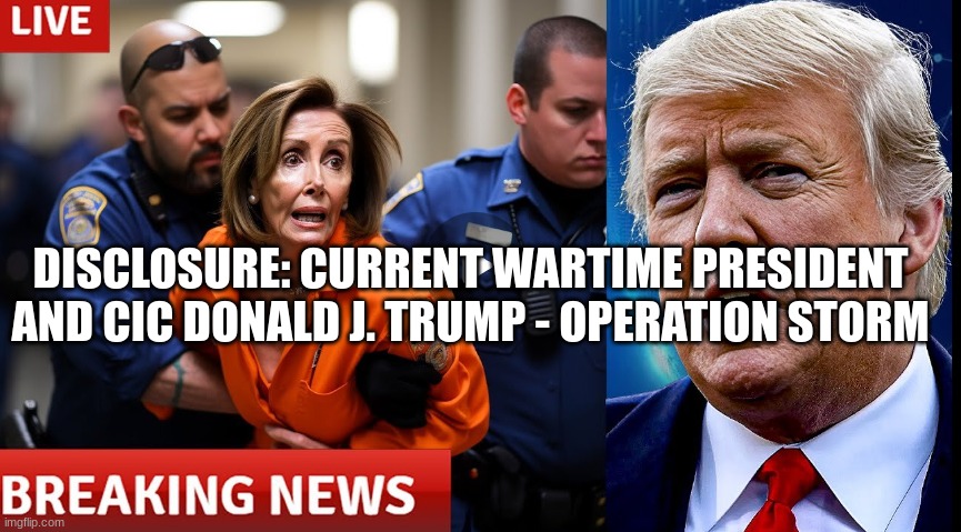 Disclosure: Current Wartime President and CIC Donald J. Trump - Operation Storm (Video)