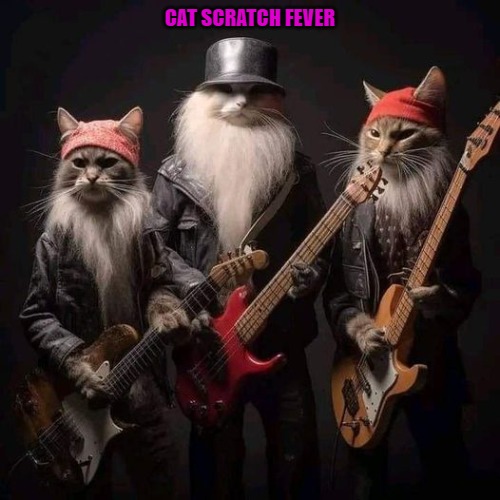 CAT SCRATCH FEVER | made w/ Imgflip meme maker