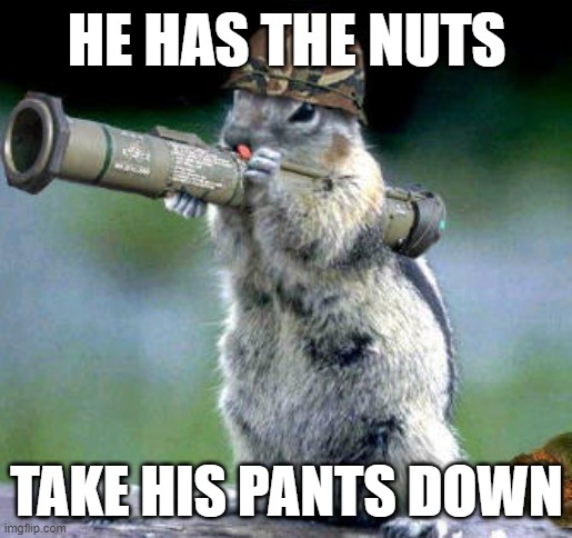 Bazooka Squirrel | HE HAS THE NUTS; TAKE HIS PANTS DOWN | image tagged in memes,bazooka squirrel | made w/ Imgflip meme maker