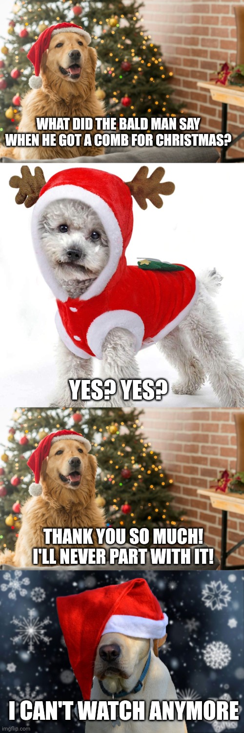 WHAT DID THE BALD MAN SAY WHEN HE GOT A COMB FOR CHRISTMAS? YES? YES? THANK YOU SO MUCH! I'LL NEVER PART WITH IT! I CAN'T WATCH ANYMORE | image tagged in christmas dog 1,christmas dog 2,christmas dog 5 | made w/ Imgflip meme maker