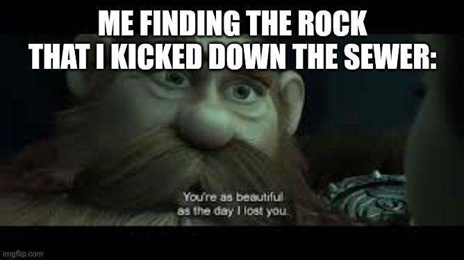 Meme | ME FINDING THE ROCK THAT I KICKED DOWN THE SEWER: | image tagged in you're as beautiful as the day i lost you | made w/ Imgflip meme maker