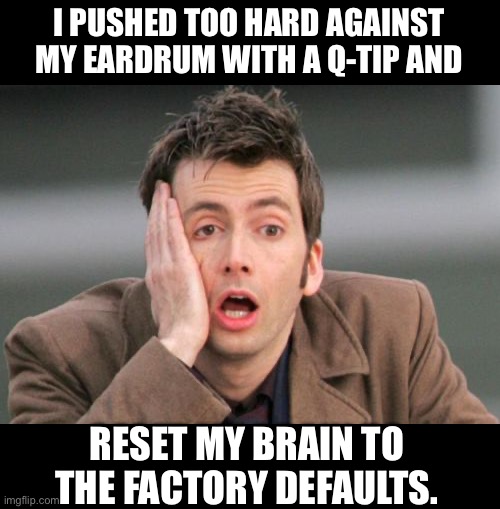 Be careful | I PUSHED TOO HARD AGAINST MY EARDRUM WITH A Q-TIP AND; RESET MY BRAIN TO THE FACTORY DEFAULTS. | image tagged in face palm | made w/ Imgflip meme maker