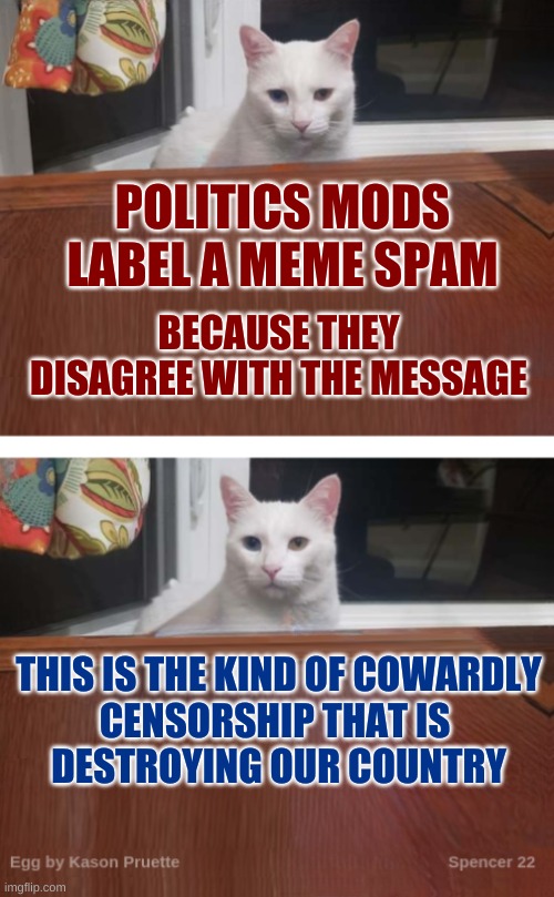 saying my meme was spam is your lame excuse for censorship. | BECAUSE THEY DISAGREE WITH THE MESSAGE; POLITICS MODS
LABEL A MEME SPAM; THIS IS THE KIND OF COWARDLY
CENSORSHIP THAT IS 
DESTROYING OUR COUNTRY | image tagged in egg the cat 2,censorship,imgflip mods,meanwhile on imgflip,what if i told you | made w/ Imgflip meme maker