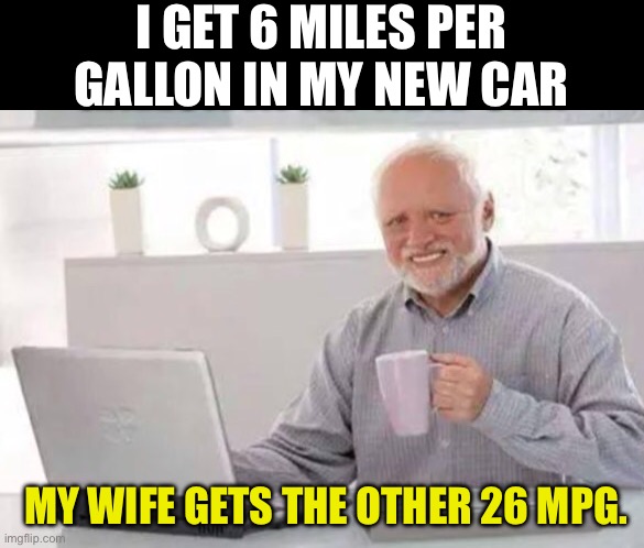 MPG | I GET 6 MILES PER GALLON IN MY NEW CAR; MY WIFE GETS THE OTHER 26 MPG. | image tagged in harold | made w/ Imgflip meme maker