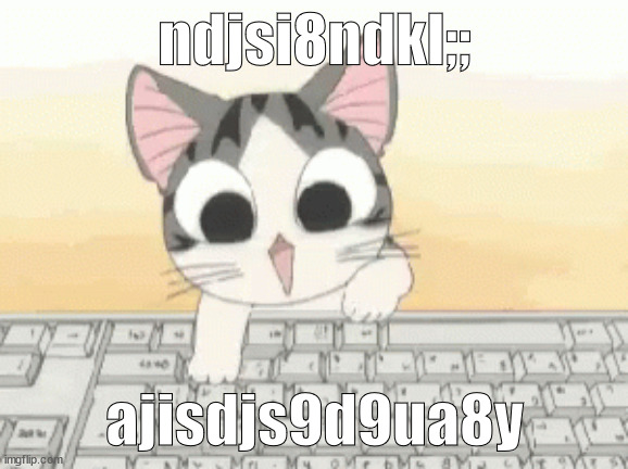 cat type | ndjsi8ndkl;;; ajisdjs9d9ua8y | image tagged in cat,keyboard,happy,typing | made w/ Imgflip meme maker
