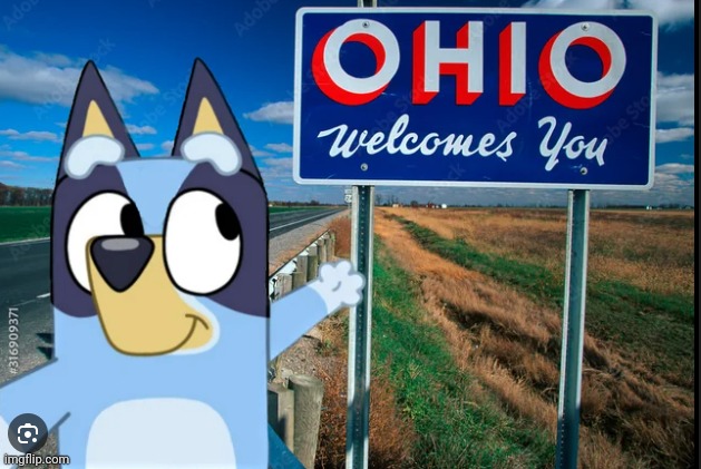 bluey ohio meme | image tagged in bluey ohio meme | made w/ Imgflip meme maker
