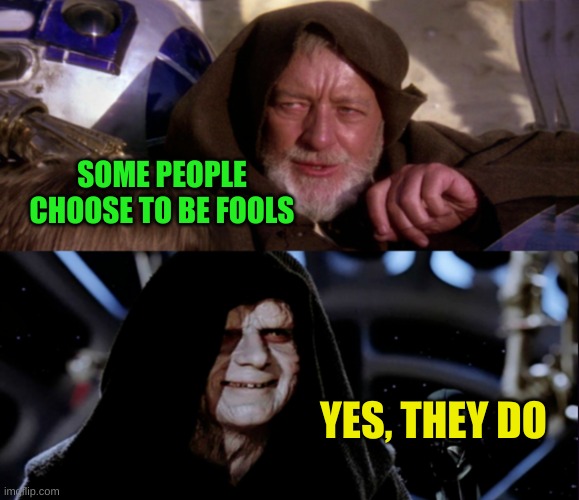 Star Wars Me Also Me | SOME PEOPLE CHOOSE TO BE FOOLS; YES, THEY DO | image tagged in star wars me also me,star wars,what if i told you,meanwhile on imgflip,imgflip mods | made w/ Imgflip meme maker