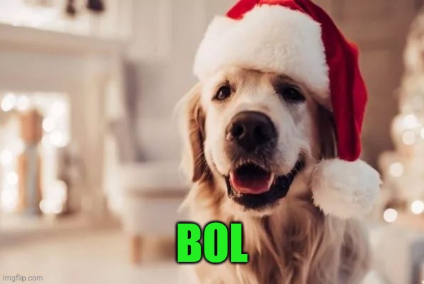 BOL | image tagged in santa dog | made w/ Imgflip meme maker