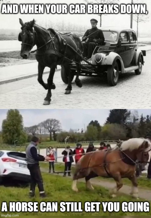 AND WHEN YOUR CAR BREAKS DOWN, A HORSE CAN STILL GET YOU GOING | image tagged in horse is car engine | made w/ Imgflip meme maker