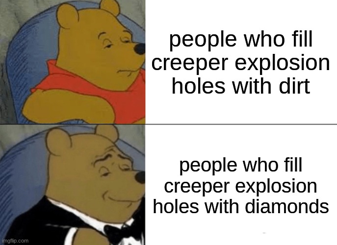 people when they fill up creeper explosion holes in minecraft | people who fill creeper explosion holes with dirt; people who fill creeper explosion holes with diamonds | image tagged in memes,tuxedo winnie the pooh,minecraft,funny,minecraft memes,relatable | made w/ Imgflip meme maker