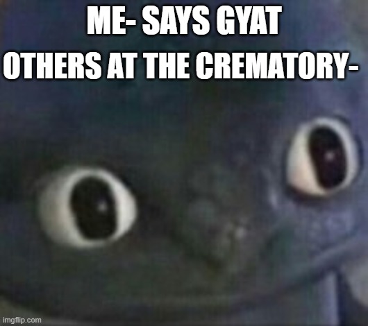 Dark humor lives! | OTHERS AT THE CREMATORY-; ME- SAYS GYAT | image tagged in toothless shocked,dark humor | made w/ Imgflip meme maker