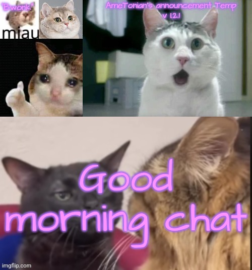 AmeTonian's announcement Temp v 1.2.1 | Good morning chat | image tagged in ametonian's announcement temp v 1 2 1 | made w/ Imgflip meme maker