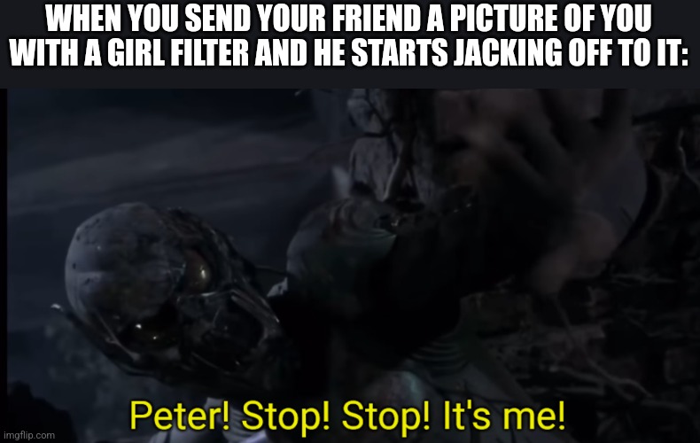 Peter! Stop! Stop! It's me! | WHEN YOU SEND YOUR FRIEND A PICTURE OF YOU WITH A GIRL FILTER AND HE STARTS JACKING OFF TO IT: | image tagged in peter stop stop it's me | made w/ Imgflip meme maker