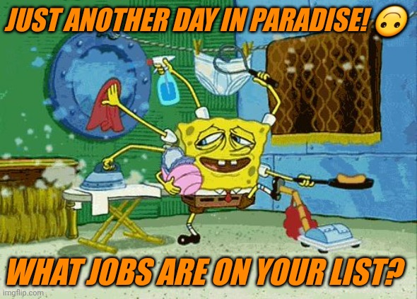 Job List | JUST ANOTHER DAY IN PARADISE! 🙃; WHAT JOBS ARE ON YOUR LIST? | image tagged in spongebob cleaning | made w/ Imgflip meme maker