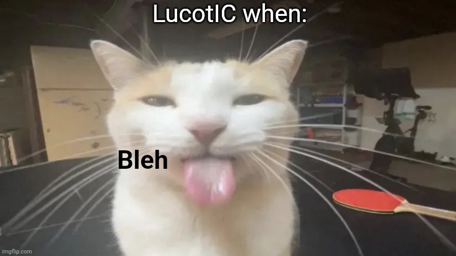 . | LucotIC when:; Bleh | image tagged in bleh cat | made w/ Imgflip meme maker