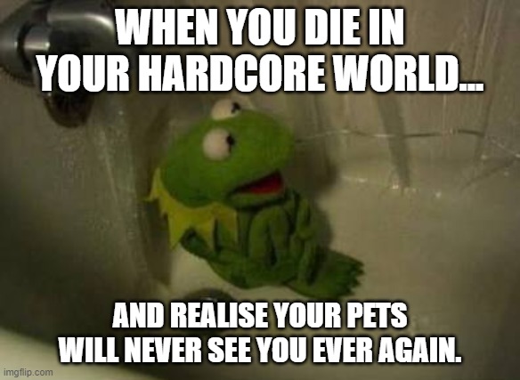 sad thought | WHEN YOU DIE IN YOUR HARDCORE WORLD... AND REALISE YOUR PETS WILL NEVER SEE YOU EVER AGAIN. | image tagged in kermit shower | made w/ Imgflip meme maker