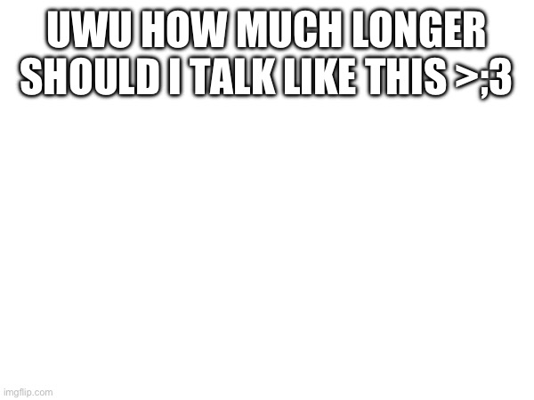 UWU HOW MUCH LONGER SHOULD I TALK LIKE THIS >;3 | made w/ Imgflip meme maker