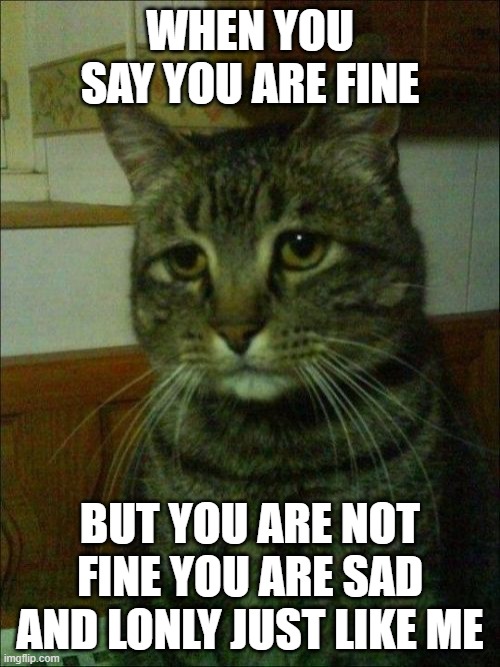 this me 24/7 now | WHEN YOU SAY YOU ARE FINE; BUT YOU ARE NOT FINE YOU ARE SAD AND LONLY JUST LIKE ME | image tagged in memes,depressed cat | made w/ Imgflip meme maker