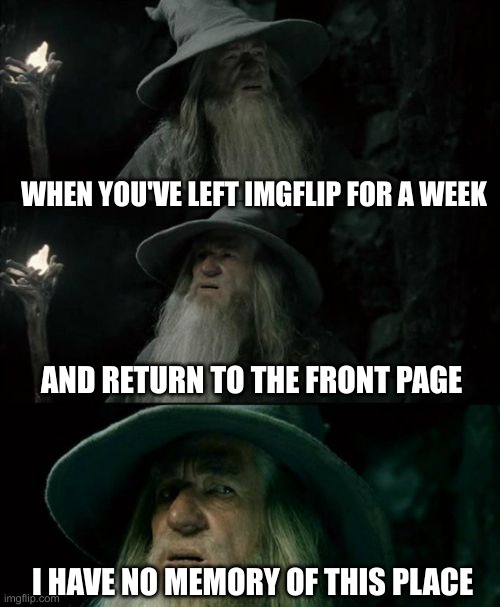 When you Left | WHEN YOU'VE LEFT IMGFLIP FOR A WEEK; AND RETURN TO THE FRONT PAGE; I HAVE NO MEMORY OF THIS PLACE | image tagged in memes,confused gandalf,imgflip,meanwhile on imgflip,leaving,front page | made w/ Imgflip meme maker
