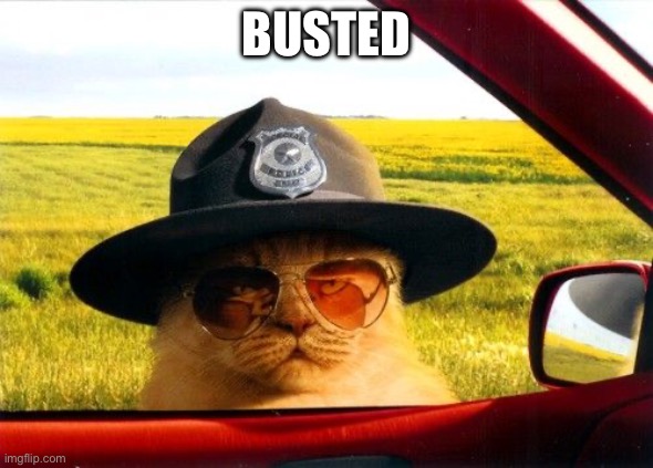 Busted by the Hypocrite Police | BUSTED | image tagged in busted by the hypocrite police | made w/ Imgflip meme maker