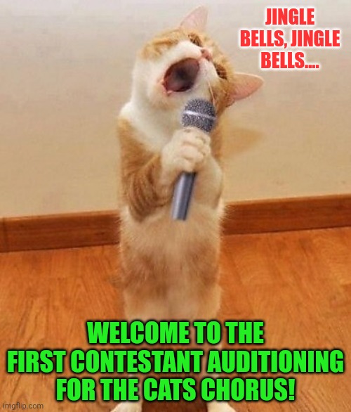 Cat singing! | JINGLE BELLS, JINGLE BELLS.... WELCOME TO THE FIRST CONTESTANT AUDITIONING FOR THE CATS CHORUS! | image tagged in happy birthday day maureeeennn from the singing cat | made w/ Imgflip meme maker