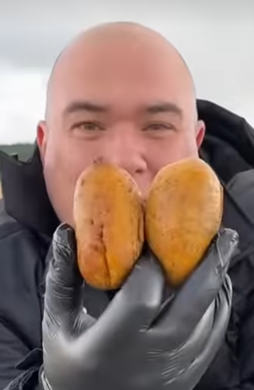 High Quality ! Blank Meme Template