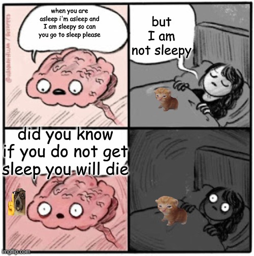 Brain Before Sleep | but I am not sleepy; when you are asleep i'm asleep and I am sleepy so can you go to sleep please; did you know if you do not get sleep you will die | image tagged in brain before sleep | made w/ Imgflip meme maker