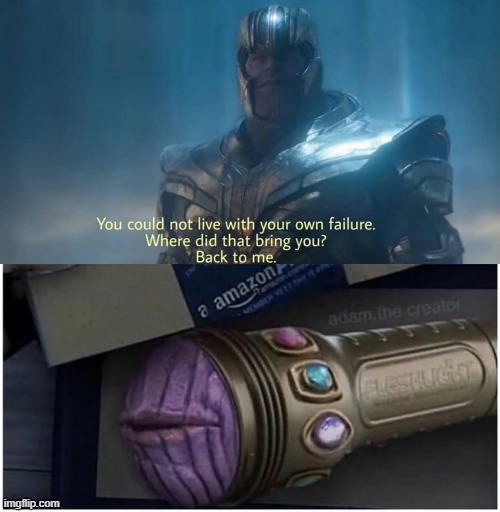 Oh the Failure | image tagged in thanos you could not live with your own failure | made w/ Imgflip meme maker