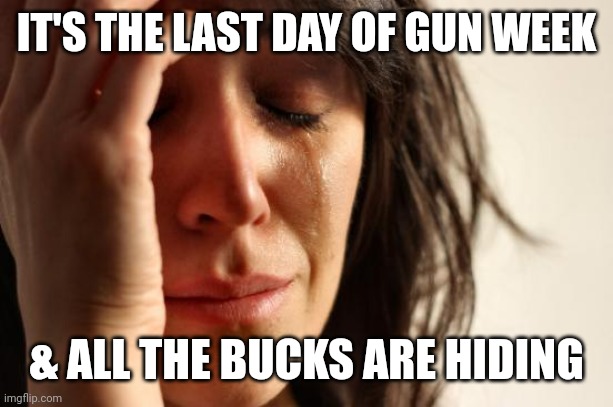 Deer Season | IT'S THE LAST DAY OF GUN WEEK; & ALL THE BUCKS ARE HIDING | image tagged in memes,first world problems | made w/ Imgflip meme maker
