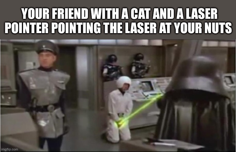 spaceballs schwartz castration | YOUR FRIEND WITH A CAT AND A LASER POINTER POINTING THE LASER AT YOUR NUTS | image tagged in spaceballs schwartz castration,cats,cat | made w/ Imgflip meme maker