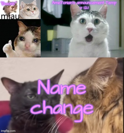 AmeTonian's announcement Temp v 1.2.1 | Name change | image tagged in ametonian's announcement temp v 1 2 1 | made w/ Imgflip meme maker