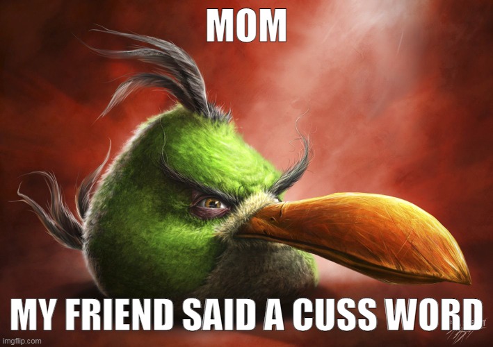 Realistic Angry Bird | MOM; MY FRIEND SAID A CUSS WORD | image tagged in realistic angry bird | made w/ Imgflip meme maker