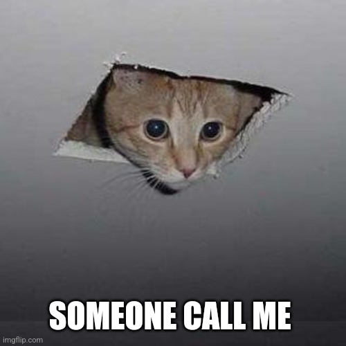 Ceiling Cat Meme | SOMEONE CALL ME | image tagged in memes,ceiling cat | made w/ Imgflip meme maker