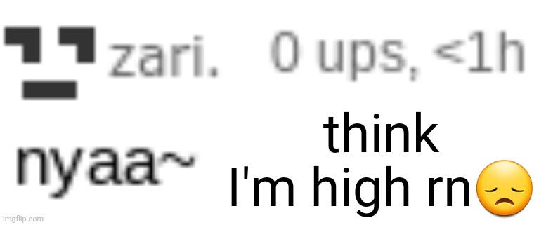 zari nyaa | think I'm high rn😞 | image tagged in zari nyaa | made w/ Imgflip meme maker