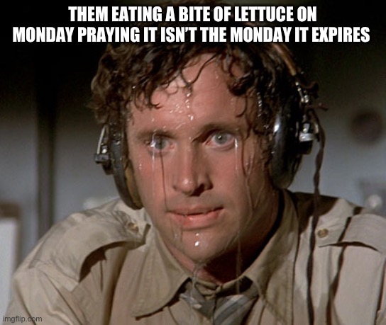 Sweating on commute after jiu-jitsu | THEM EATING A BITE OF LETTUCE ON MONDAY PRAYING IT ISN’T THE MONDAY IT EXPIRES | image tagged in sweating on commute after jiu-jitsu | made w/ Imgflip meme maker