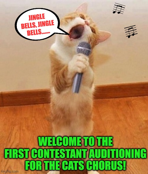 Happy birthday day  Maureeeennn from the singing cat!  | JINGLE BELLS, JINGLE BELLS....... WELCOME TO THE FIRST CONTESTANT AUDITIONING FOR THE CATS CHORUS! | image tagged in happy birthday day maureeeennn from the singing cat | made w/ Imgflip meme maker