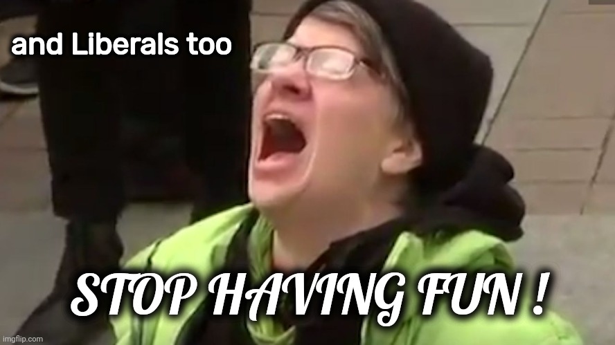 Screaming Liberal  | and Liberals too STOP HAVING FUN ! | image tagged in screaming liberal | made w/ Imgflip meme maker