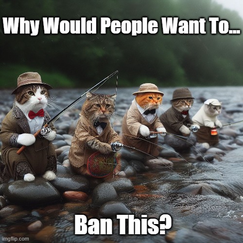Why Would People Want To... Ban This | Why Would People Want To... Ban This? | image tagged in cats,fishing | made w/ Imgflip meme maker