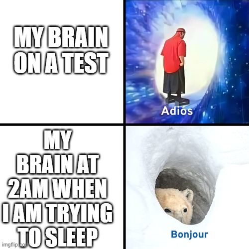 Adios Bonjour | MY BRAIN ON A TEST; MY BRAIN AT 2AM WHEN I AM TRYING TO SLEEP | image tagged in adios bonjour,relatable | made w/ Imgflip meme maker