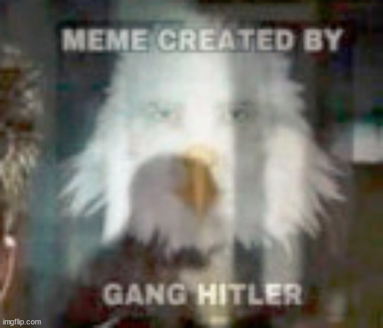since aparently the stream's turned into politics | image tagged in meme created by gang hitler | made w/ Imgflip meme maker