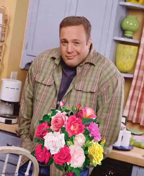 Kevin James shrug | image tagged in kevin james shrug | made w/ Imgflip meme maker