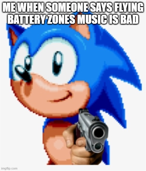 flying battery zone's music is great | ME WHEN SOMEONE SAYS FLYING BATTERY ZONES MUSIC IS BAD | image tagged in sonic gun pointed | made w/ Imgflip meme maker