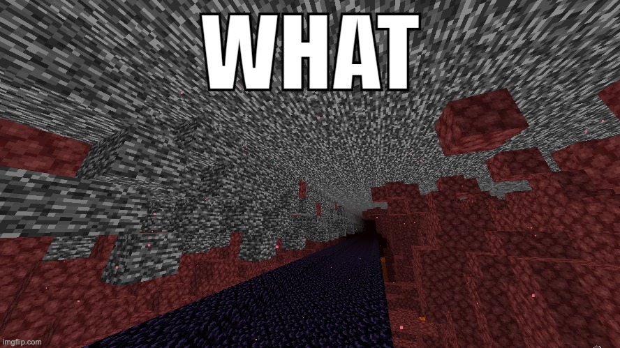 WHAT | made w/ Imgflip meme maker